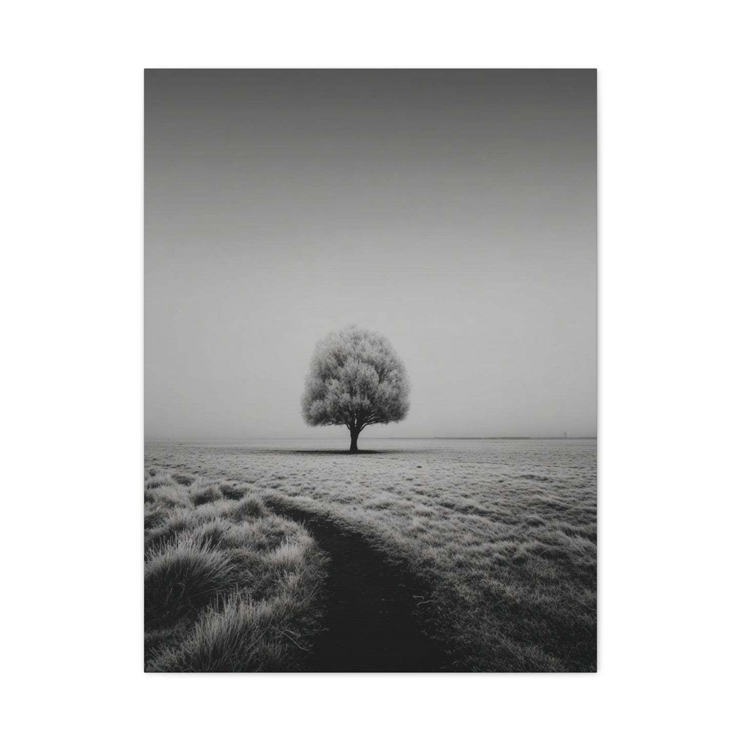 Lone Tree Winter Field Wall Art & Canvas Print