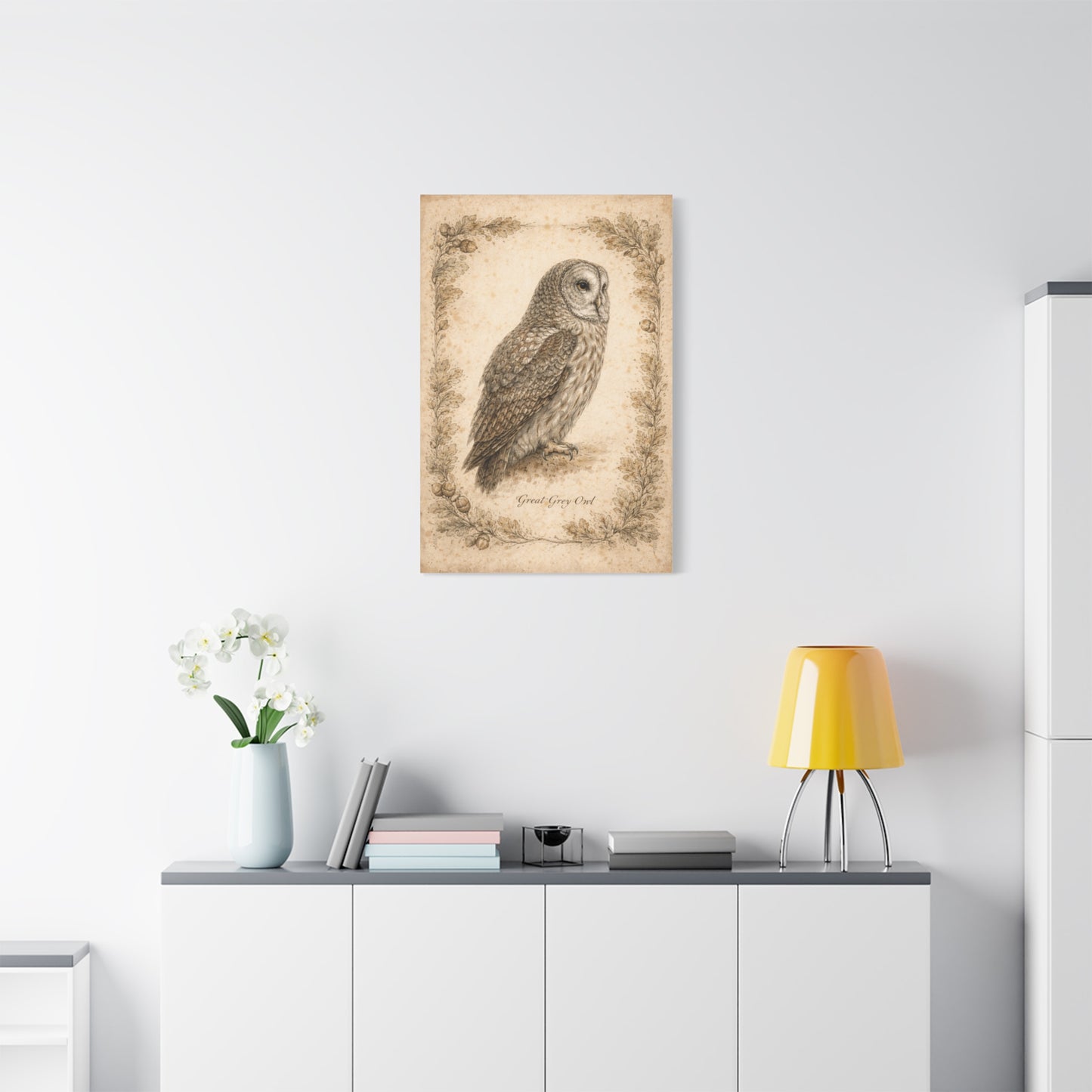 Antique Natural History Owl Study Wall Art & Canvas Print