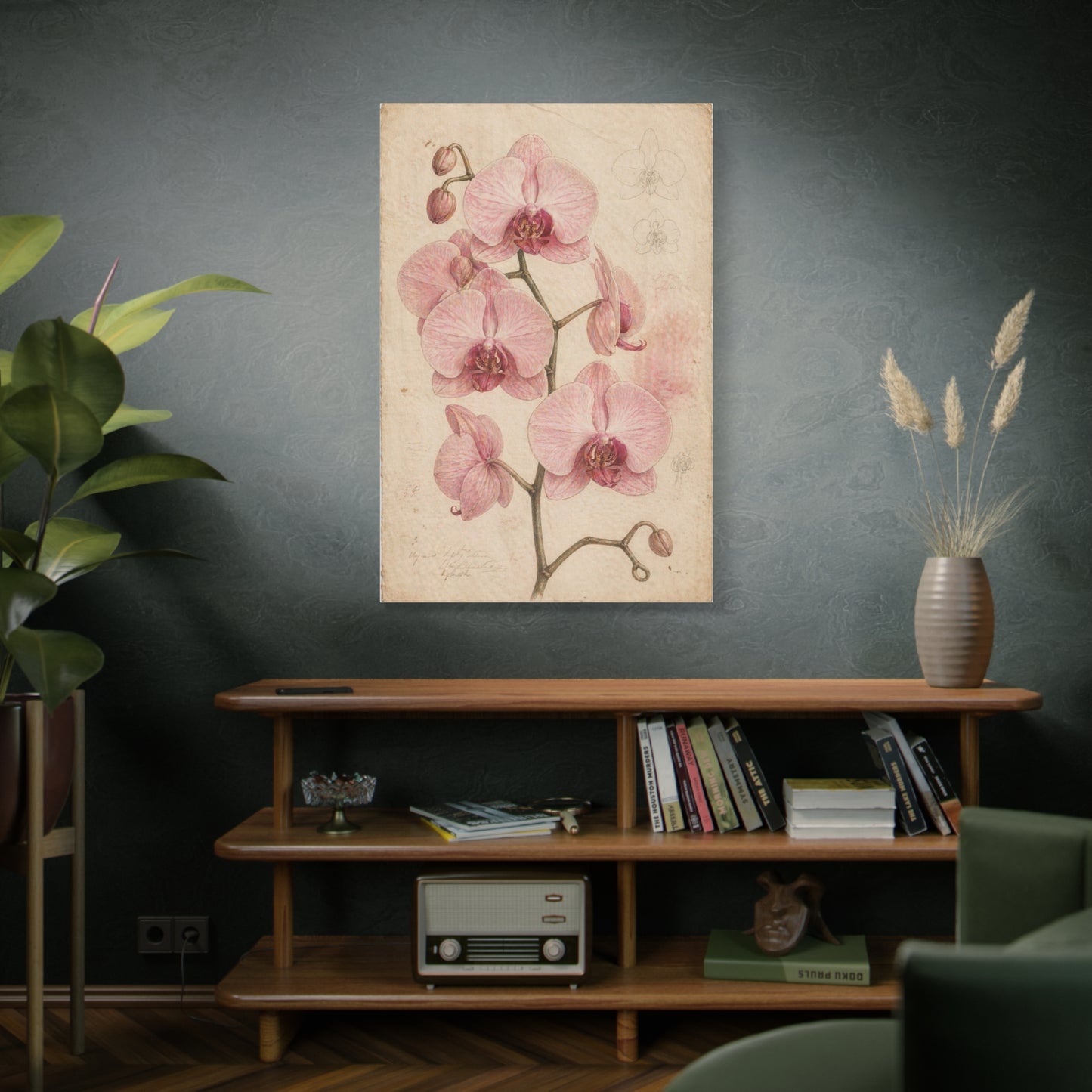 Vintage Orchid Botanical Study Wall Art & Canvas Print
