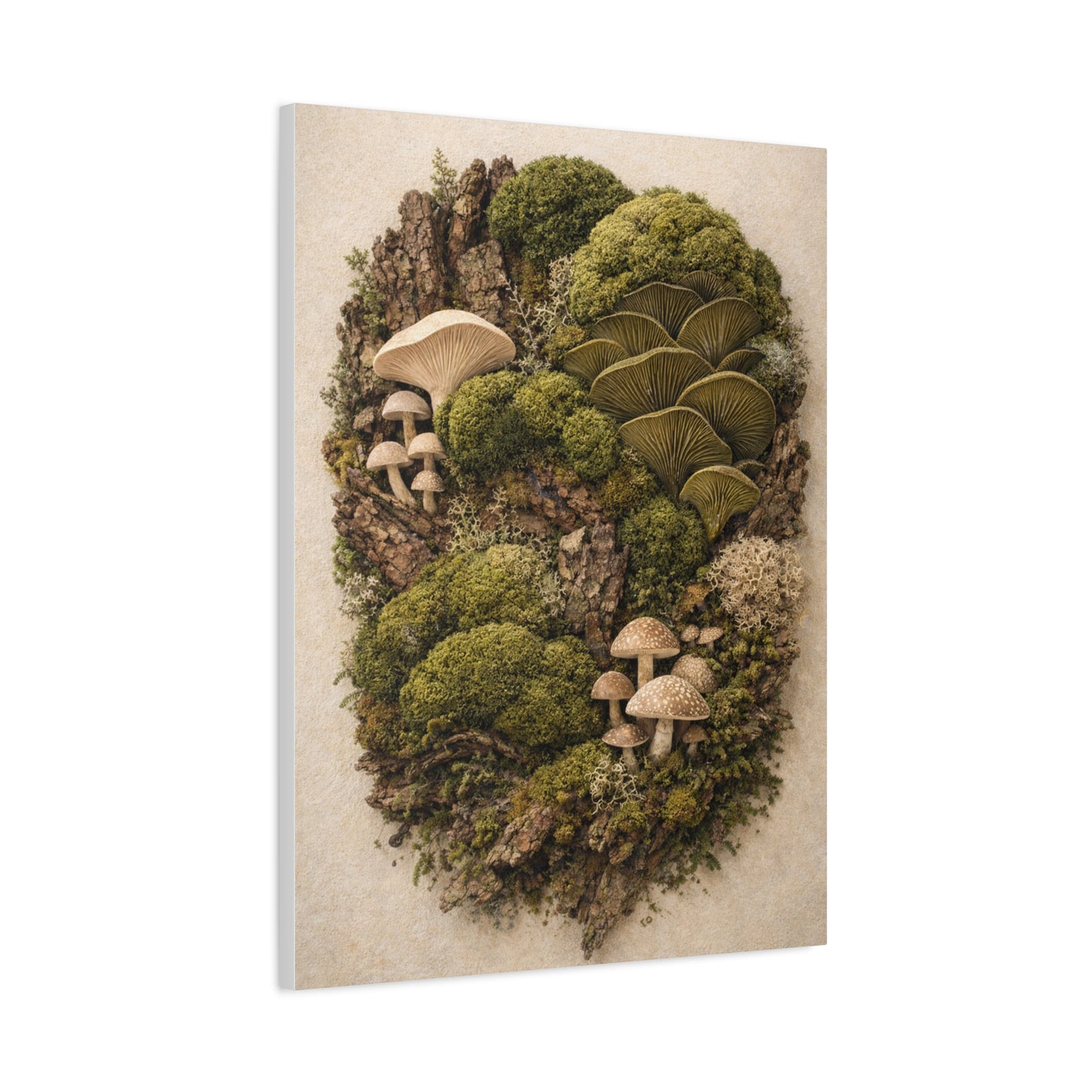 Preserved Moss & Fungi Woodland Collage Wall Art & Canvas Print