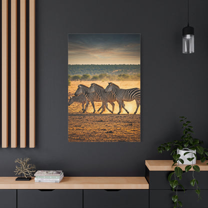 Zebra Duo Walking Across the Savannah Wall Art & Canvas Prints