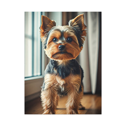Window Light Yorkie Portrait Wall Art & Canvas Print