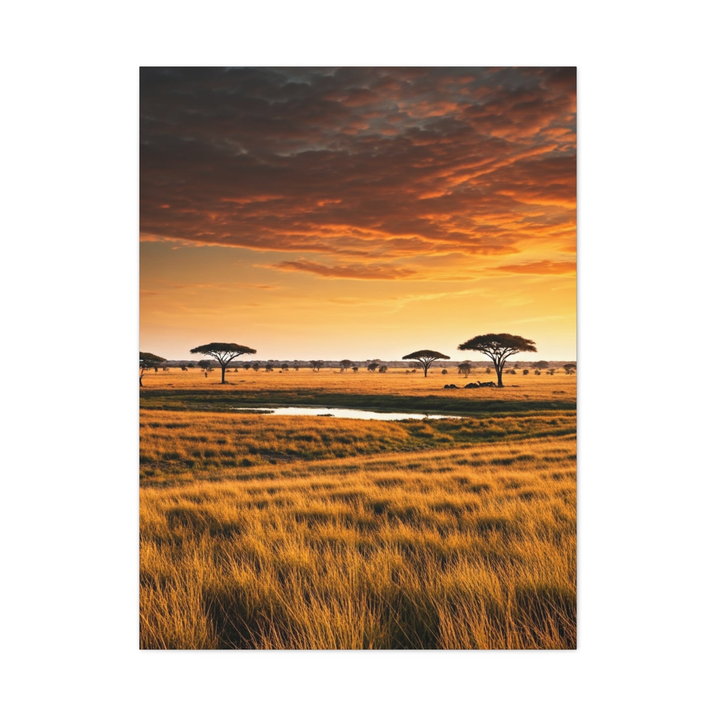 Savannah Sunset Wall Art & Canvas Prints