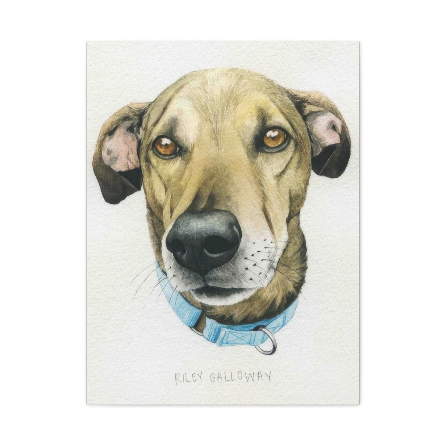 Grace Popp Wag The Dog Wall Art & Canvas Prints