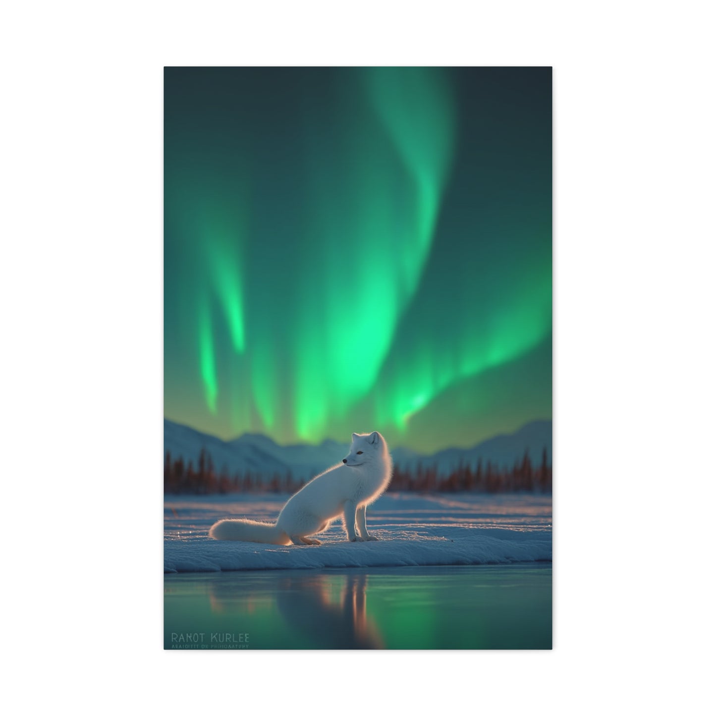 Arctic Fox Aurora Night Wall Art & Canvas Print