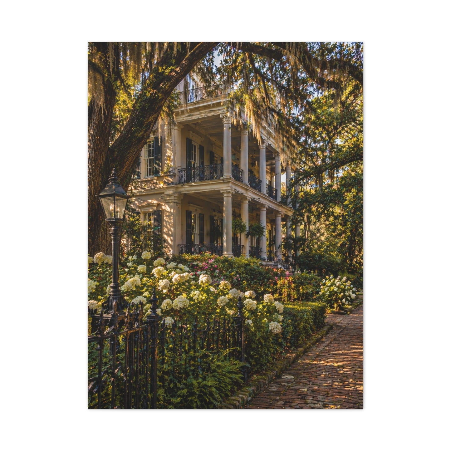 Garden District Mansion Under Live Oaks Wall Art & Canvas Print