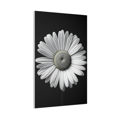 White Daisy Bloom Portrait Wall Art & Canvas Prints