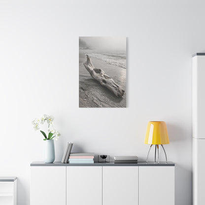 Driftwood Coastal Minimal Wall Art & Canvas Print