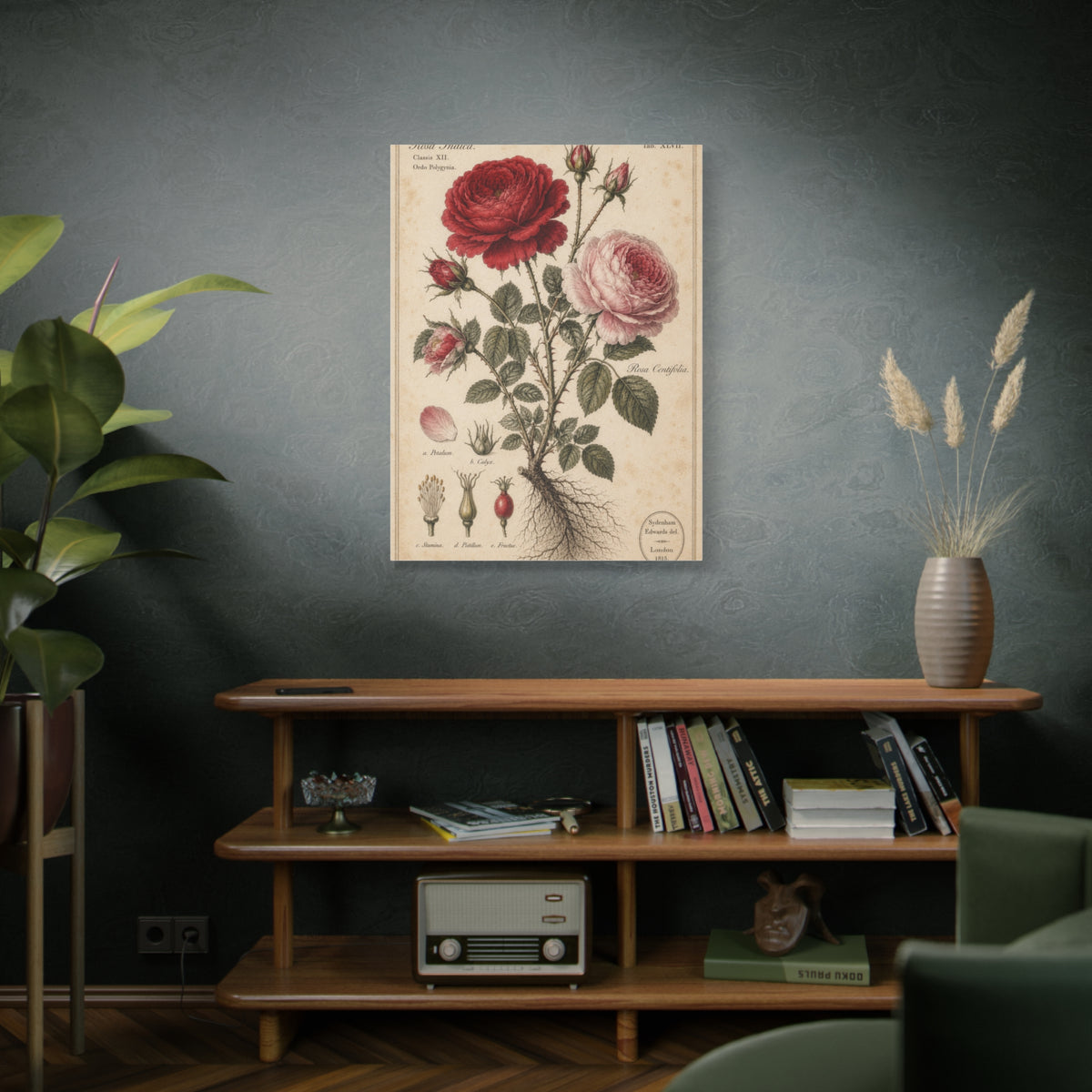 Victorian Rose Botanical Study Wall Art & Canvas Print
