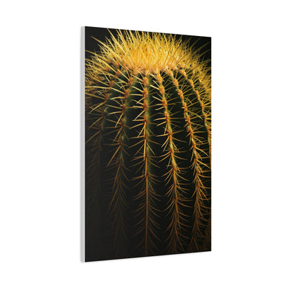 Desert Barrel Cactus Macro Texture Wall Art & Canvas Prints