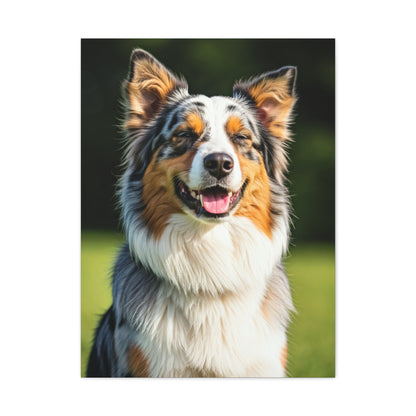 Bright Meadow Aussie Smile Wall Art & Canvas Print