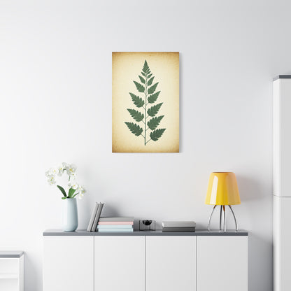 Vintage Fern Study Wall Art & Canvas Prints