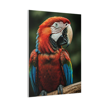 Scarlet Macaw Majesty Wall Art & Canvas Prints
