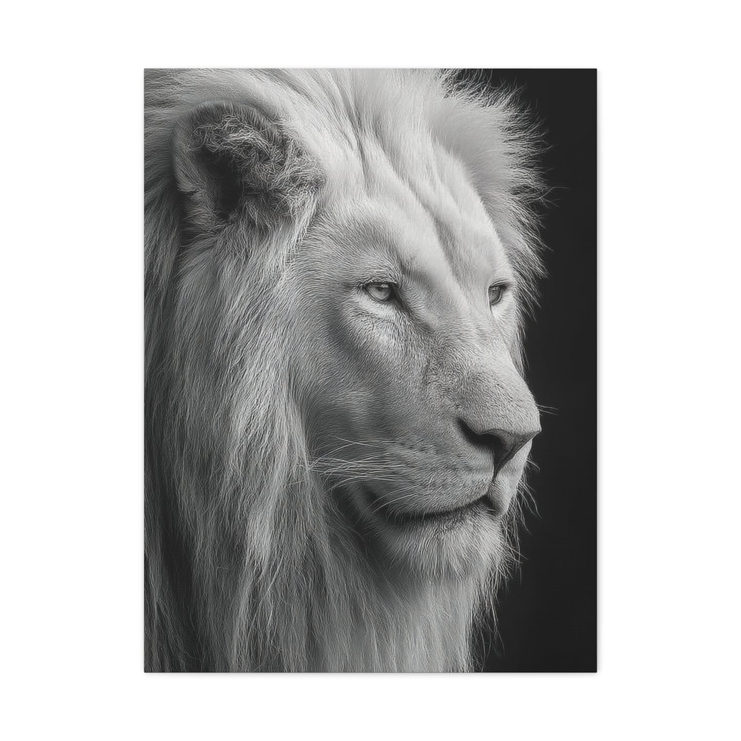 White Lion Monochrome Close Portrait Wall Art & Canvas Print