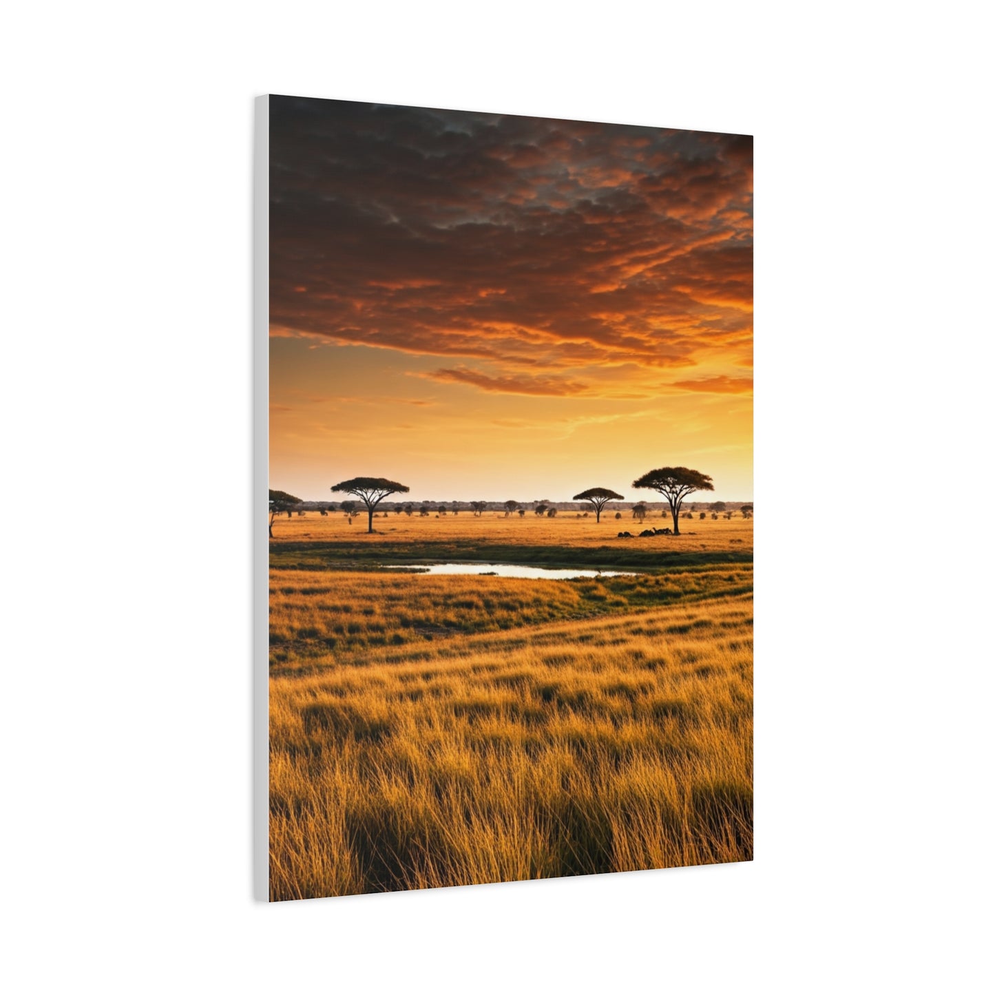 Savannah Sunset Wall Art & Canvas Prints