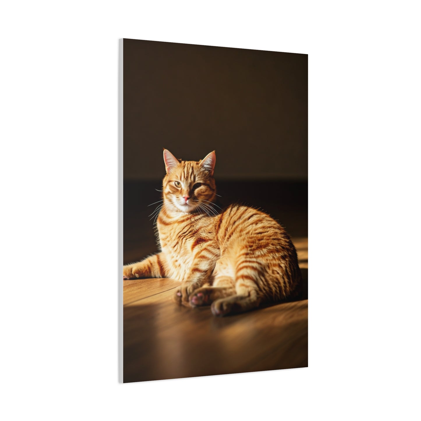 Sunlit Feline Serenity Wall Art & Canvas Print