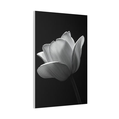 Orchid Symmetry in Black & White Wall Art & Canvas Prints