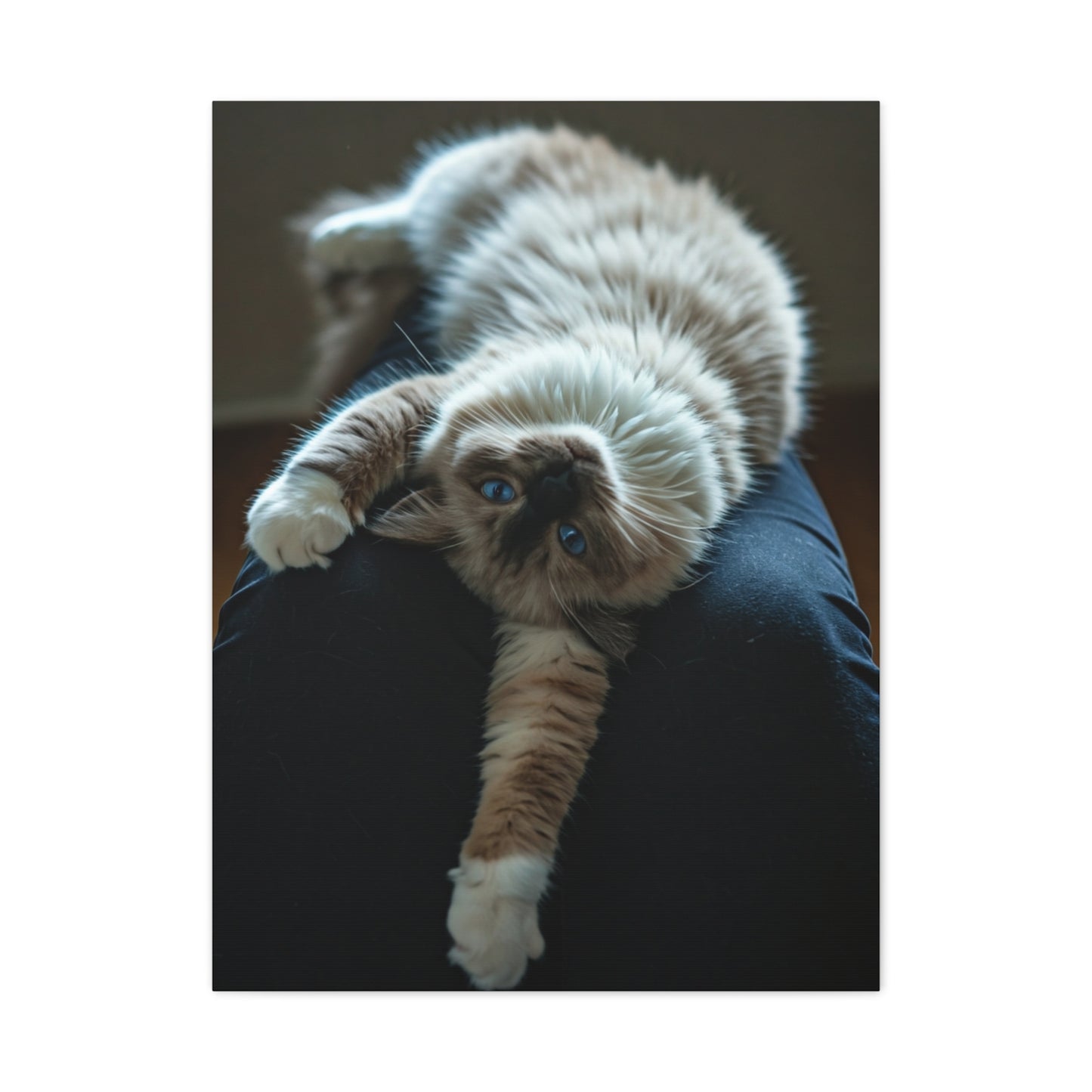 Serene Blue-Eyed Cat Wall Art & Canvas Prints