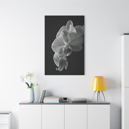 Elegant Orchid Portrait Monochrome Wall Art & Canvas Prints