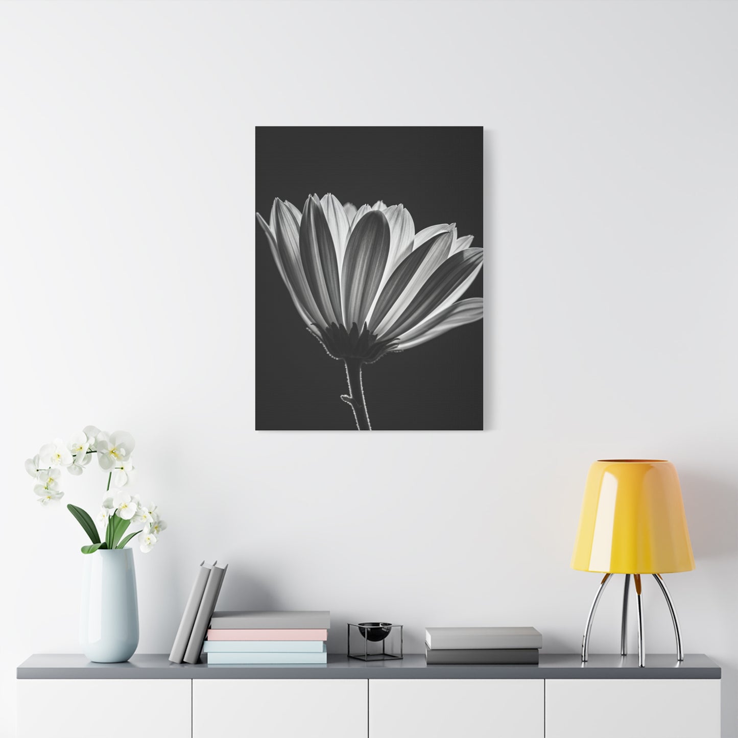 Classic Gerbera Bloom in Shadow Wall Art & Canvas Prints