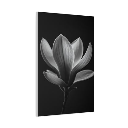 Magnolia Blossom Serenity Monochrome Wall Art & Canvas Prints