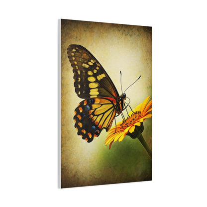 Golden Meadow Butterfly on Flower Wall Art & Canvas Prints