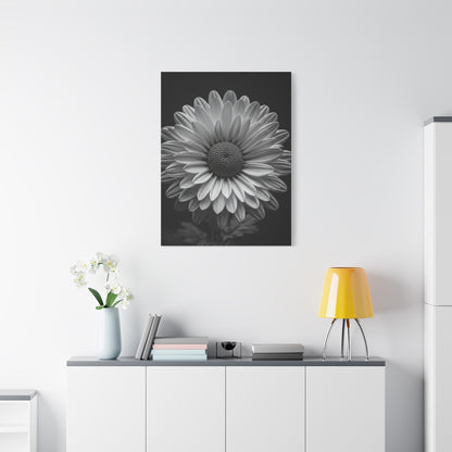 Monochrome Daisy Bloom Portrait Wall Art & Canvas Prints