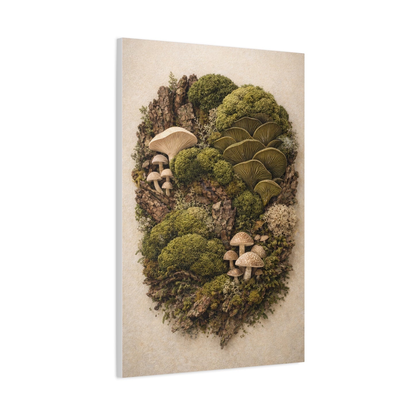 Preserved Moss & Fungi Woodland Collage Wall Art & Canvas Print