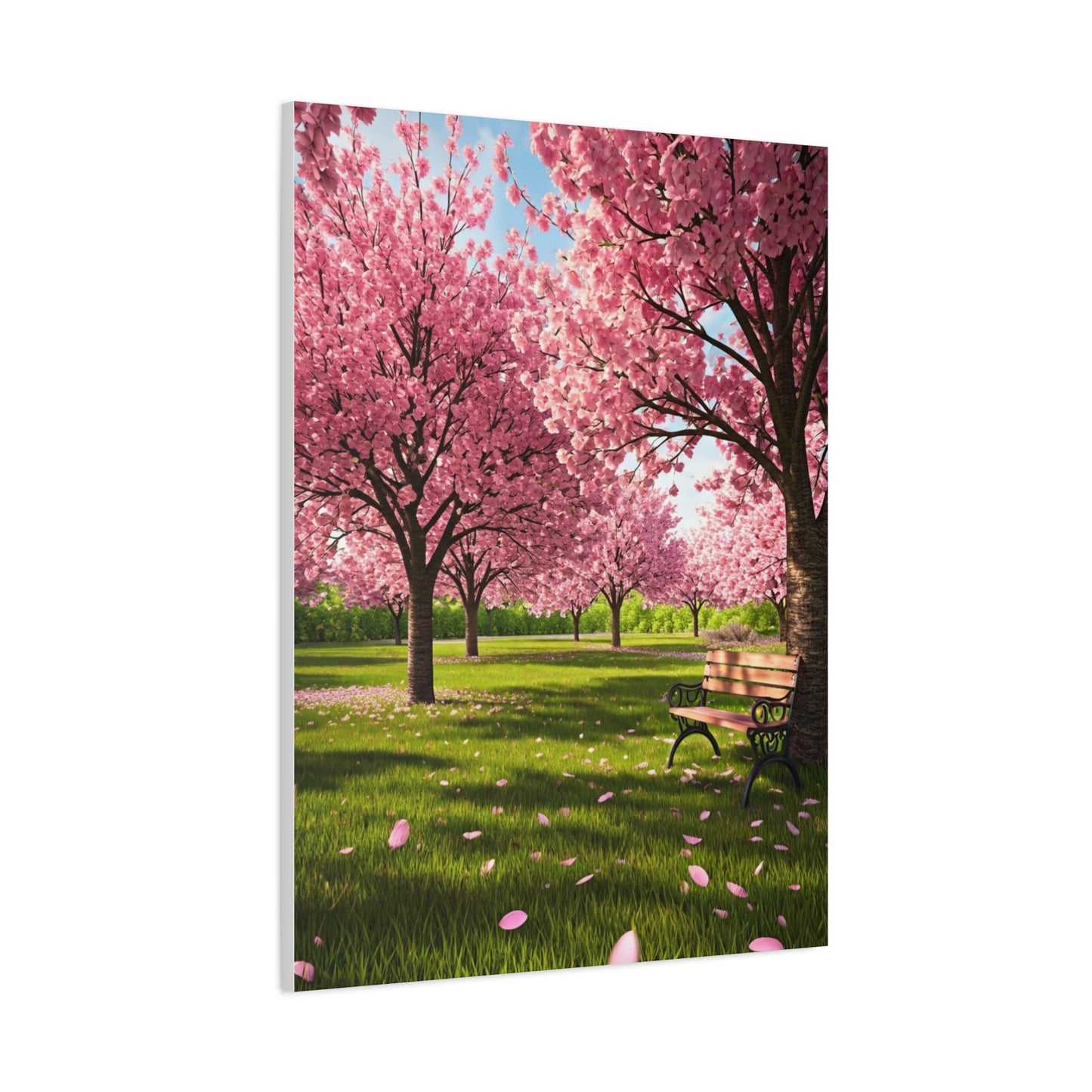 Sakura Blossom Garden Park Scene Wall Art & Canvas Prints