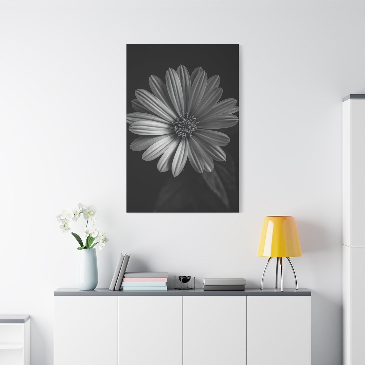 Radiant Daisy in Shadow Wall Art & Canvas Prints