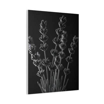 Lavender Silhouette Study Wall Art & Canvas Prints