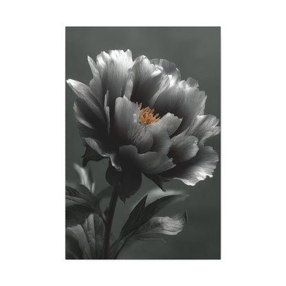 Silver Peony Fine Art Floral Wall Art & Canvas Print
