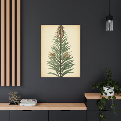 Vintage Fern Study Wall Art & Canvas Prints