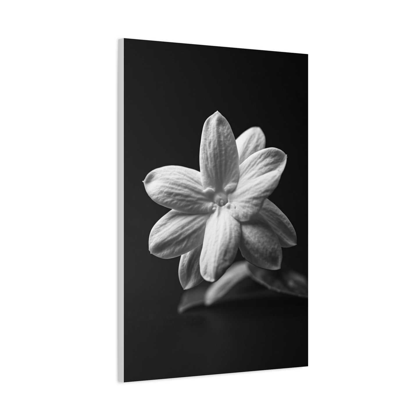 Midnight Jasmine Bloom Wall Art & Canvas Prints