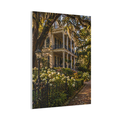 Garden District Mansion Under Live Oaks Wall Art & Canvas Print