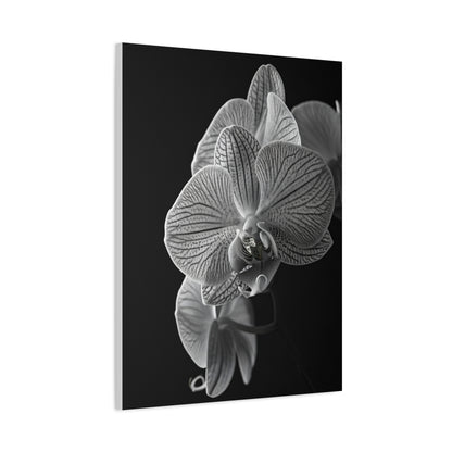 Elegant Orchid Portrait Monochrome Wall Art & Canvas Prints