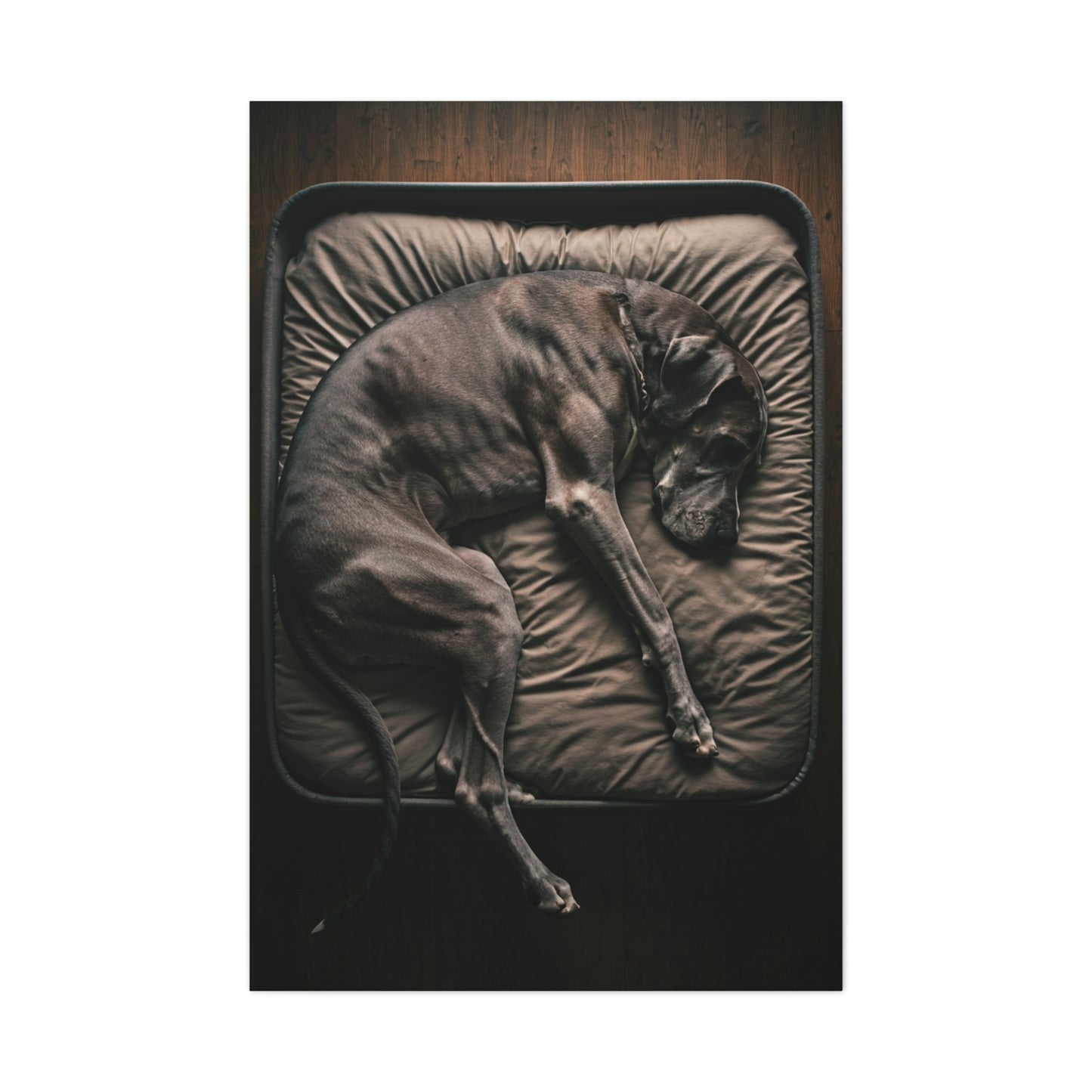 Peaceful Slumber Canine Wall Art & Canvas Print