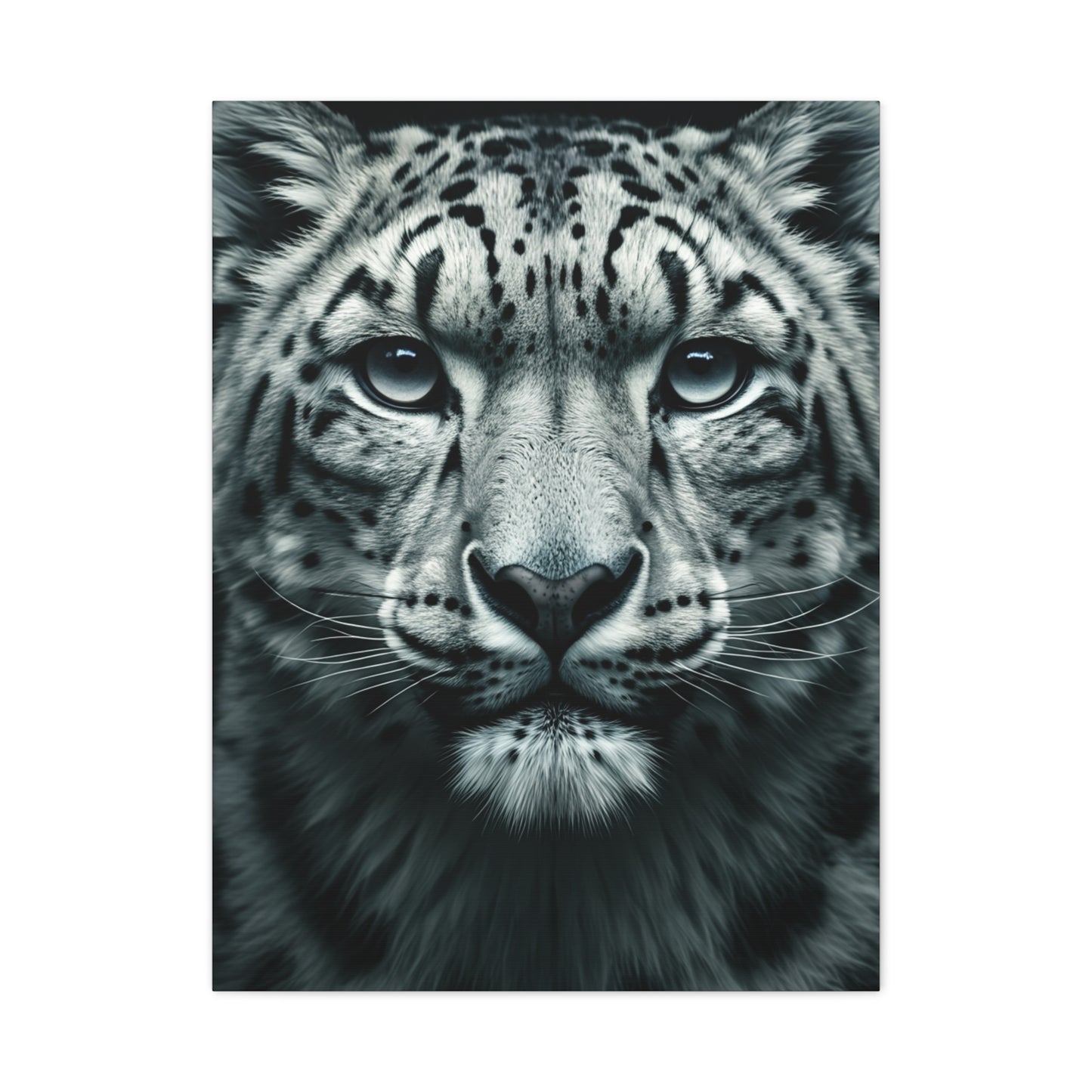 Snow Leopard Intense Gaze Wall Art & Canvas Prints