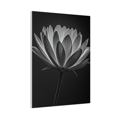 Dramatic Hibiscus Petal Study Wall Art & Canvas Prints