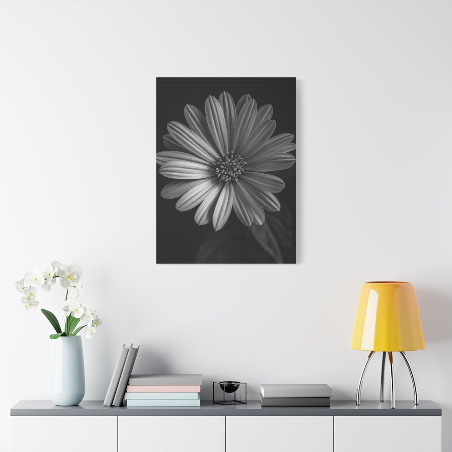 Radiant Daisy in Shadow Wall Art & Canvas Prints