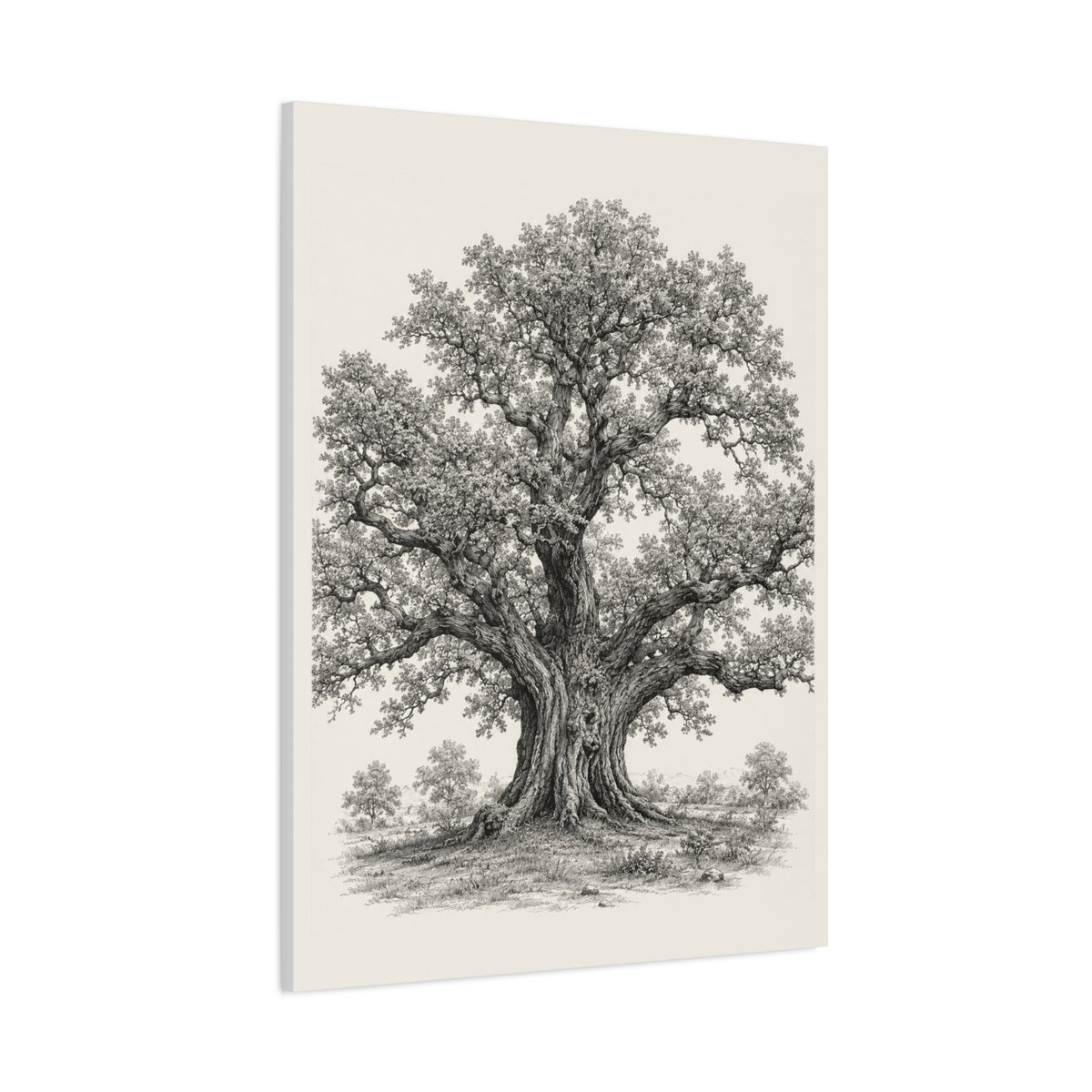 Detailed Engraved Oak Study Trees Wall Art & Canvas Print