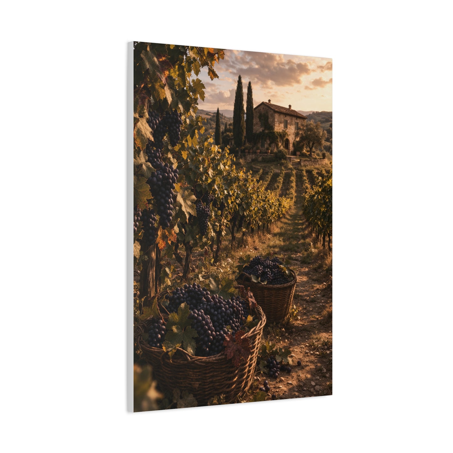 Tuscan Vineyard Harvest Scene Wall Art & Canvas Print