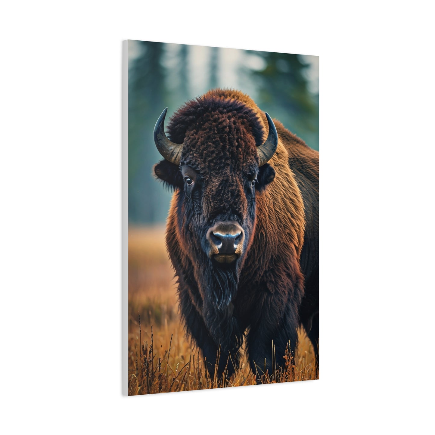 American Bison in Autumn Prairie Light Wall Art & Canvas Print