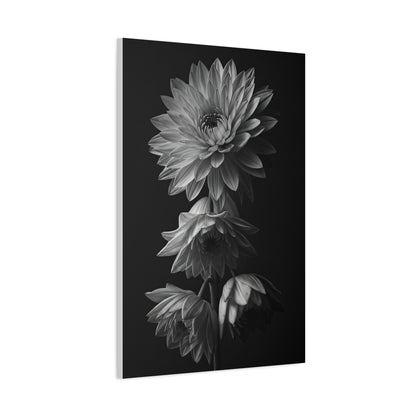 Vertical Dahlia Stem Composition Wall Art & Canvas Prints