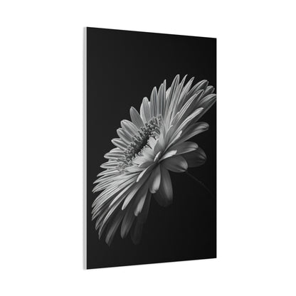 Angled Bloom with Bud Detail Wall Art & Canvas Prints