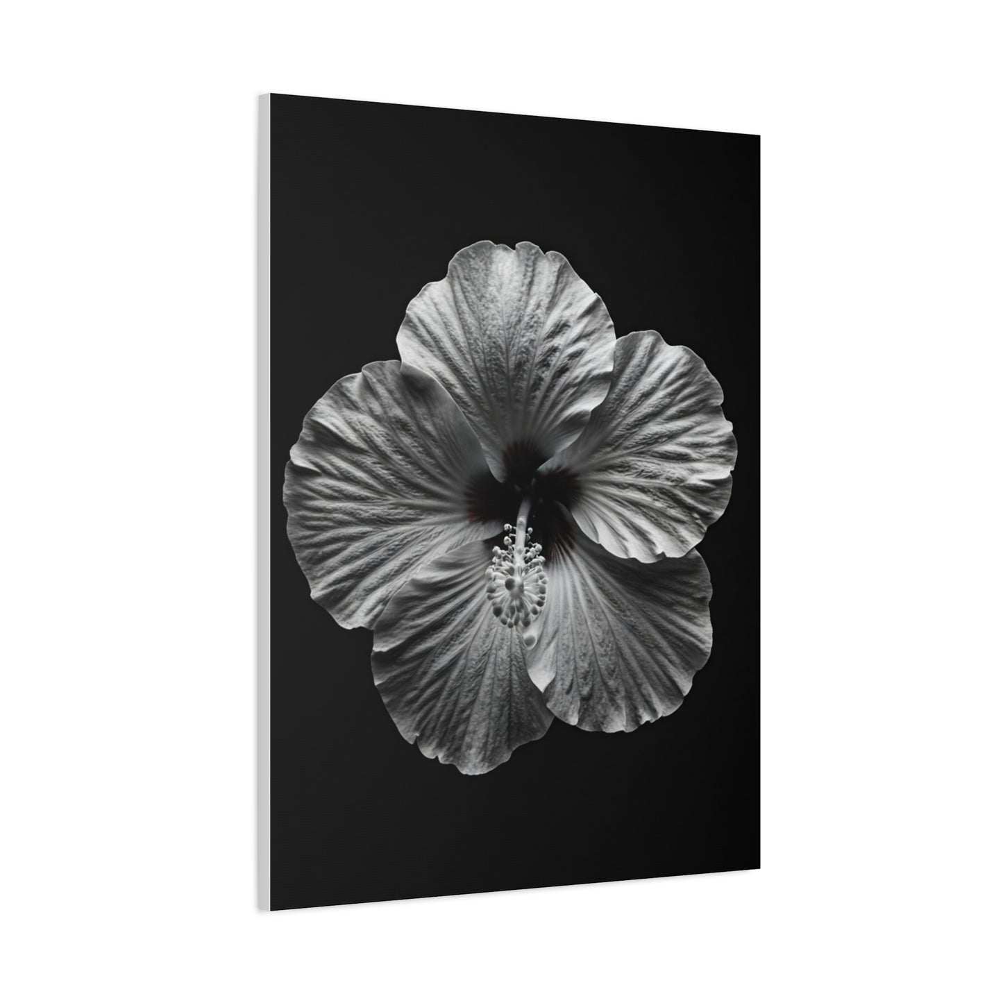 Monochrome Hibiscus Elegance Wall Art & Canvas Prints