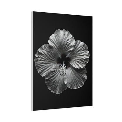 Monochrome Hibiscus Elegance Wall Art & Canvas Prints