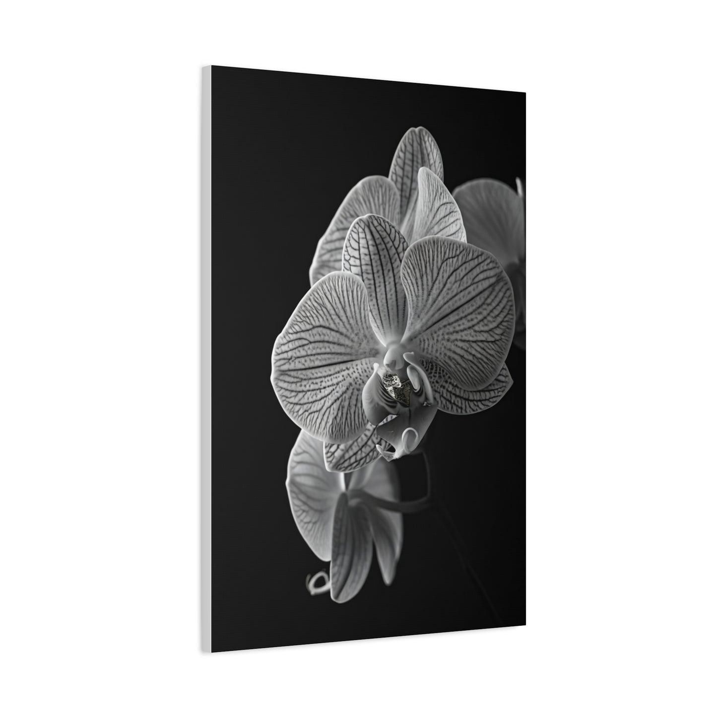 Elegant Orchid Portrait Monochrome Wall Art & Canvas Prints
