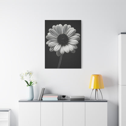 Bold Daisy Contrast Portrait Wall Art & Canvas Prints