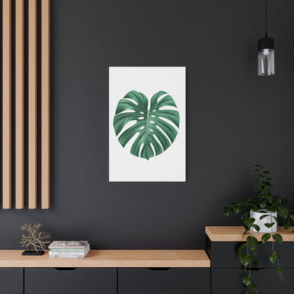 Monstera Leaf Modern Botanical Wall Art & Canvas Prints